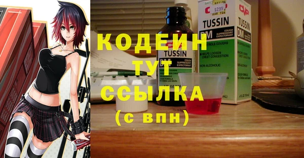 эйфоретик Алзамай
