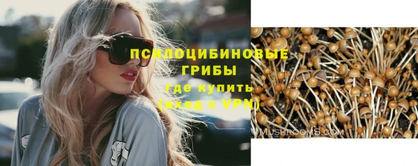 эйфоретик Алзамай
