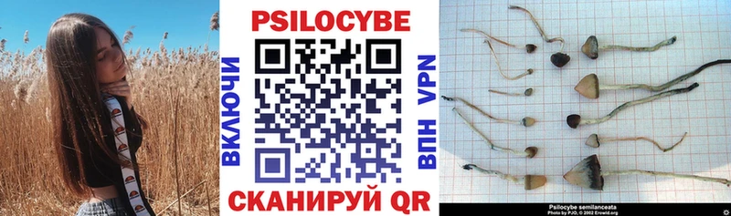 Галлюциногенные грибы GOLDEN TEACHER  Нижний Новгород 