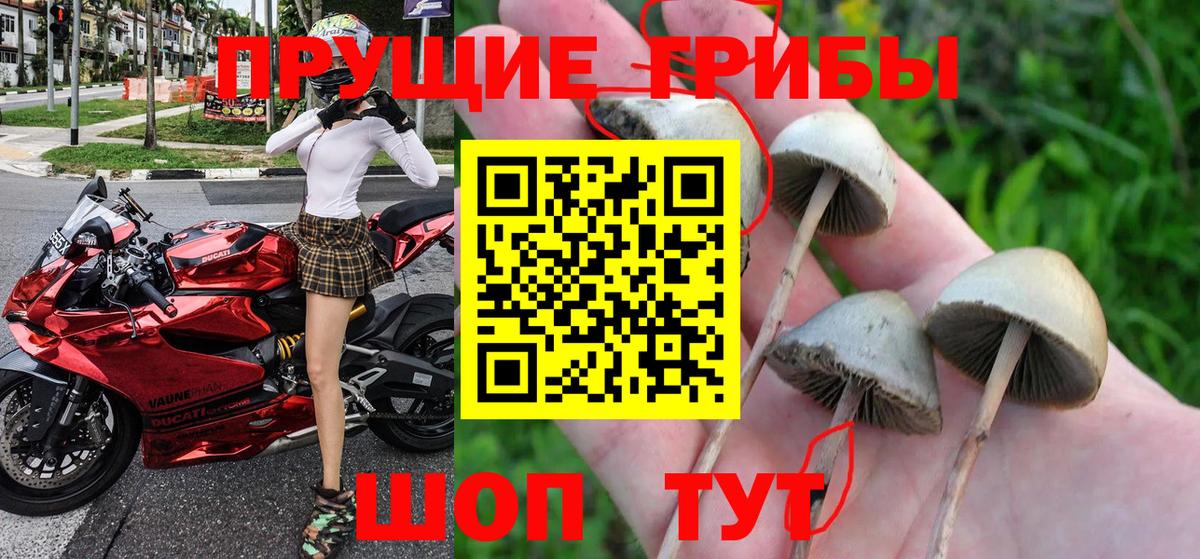 Галлюциногенные грибы мухоморы  Вход с VPN  купить  цена  Нижний Новгород 